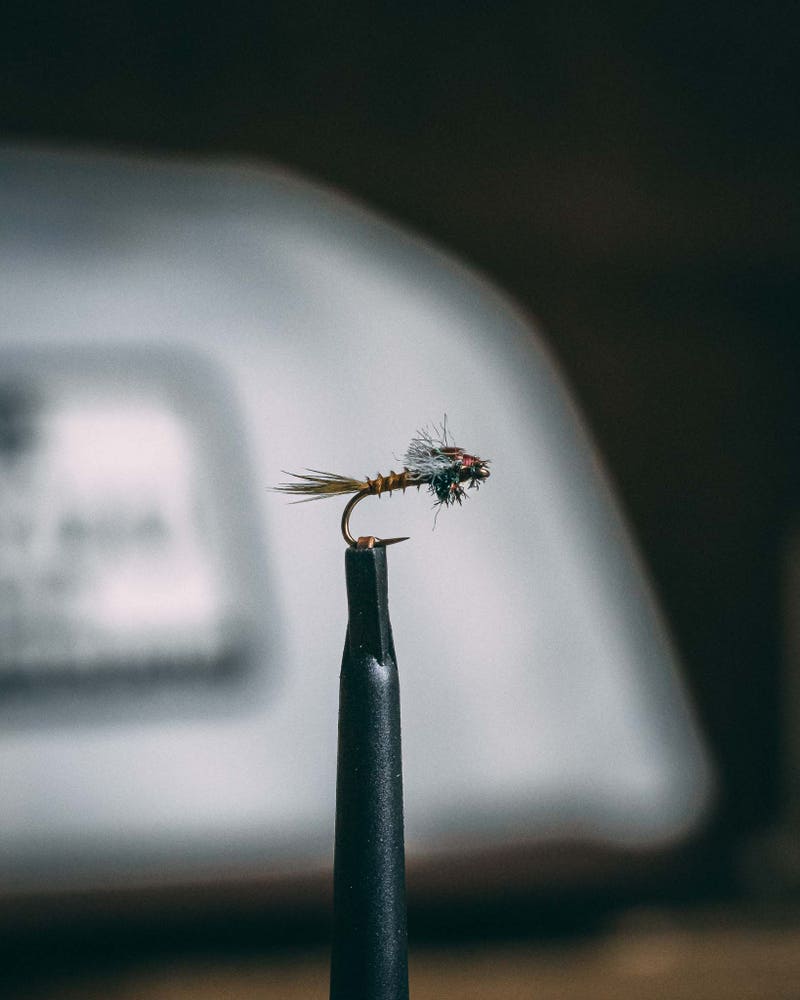 Kelly Galloup's BWO Nymph