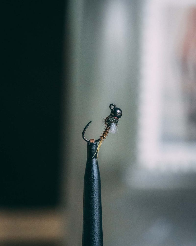 Kelly Galloup's Jigged BWO