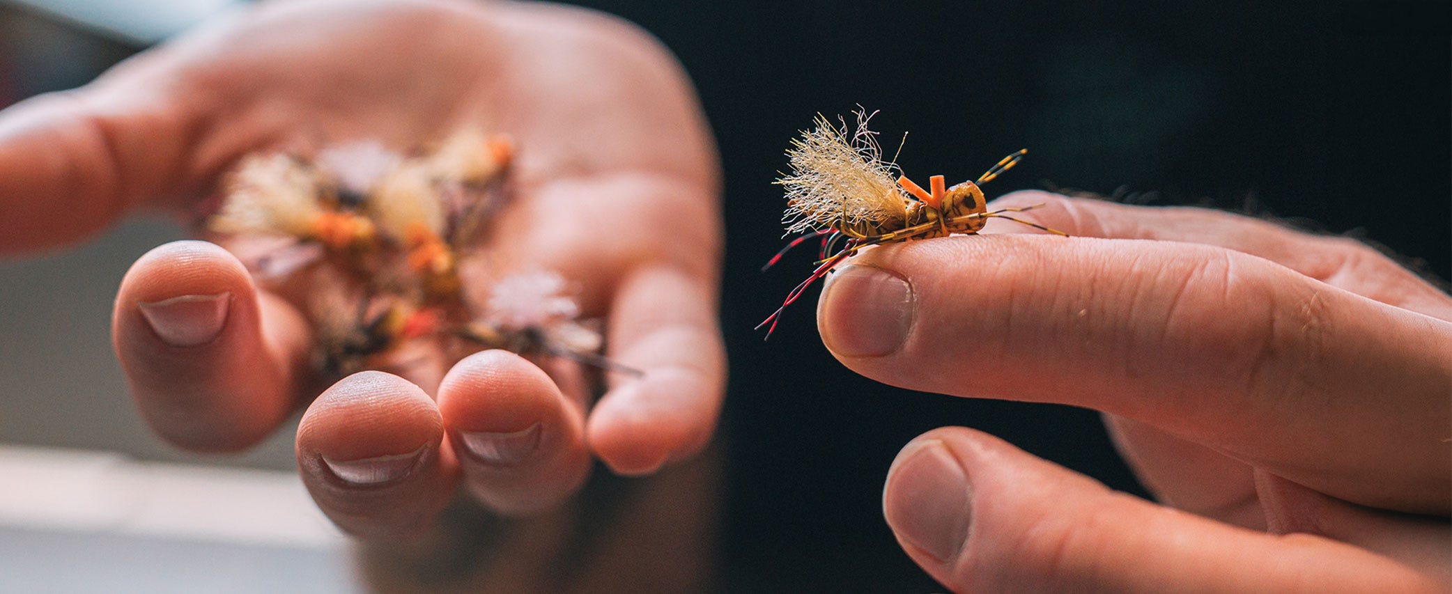The Best Tailwater Hopper Fly-Fishing Patterns Of 2026 