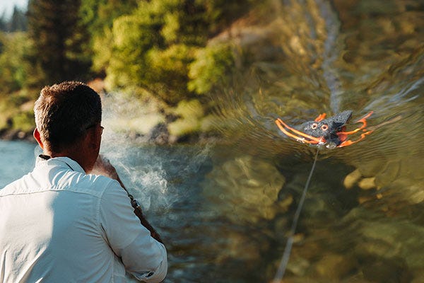 Is This The Best Skater For Idaho's Clearwater River Steelhead?
