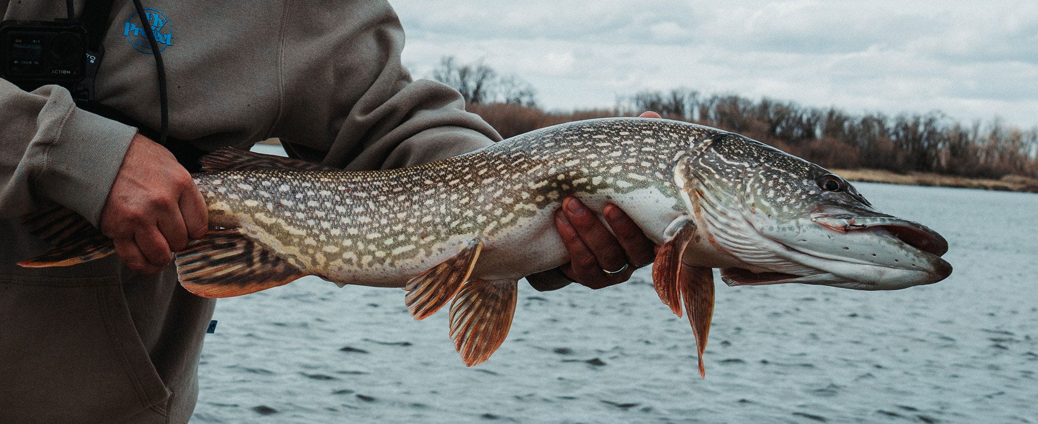 Project In The Wild #57: Missouri River Predators