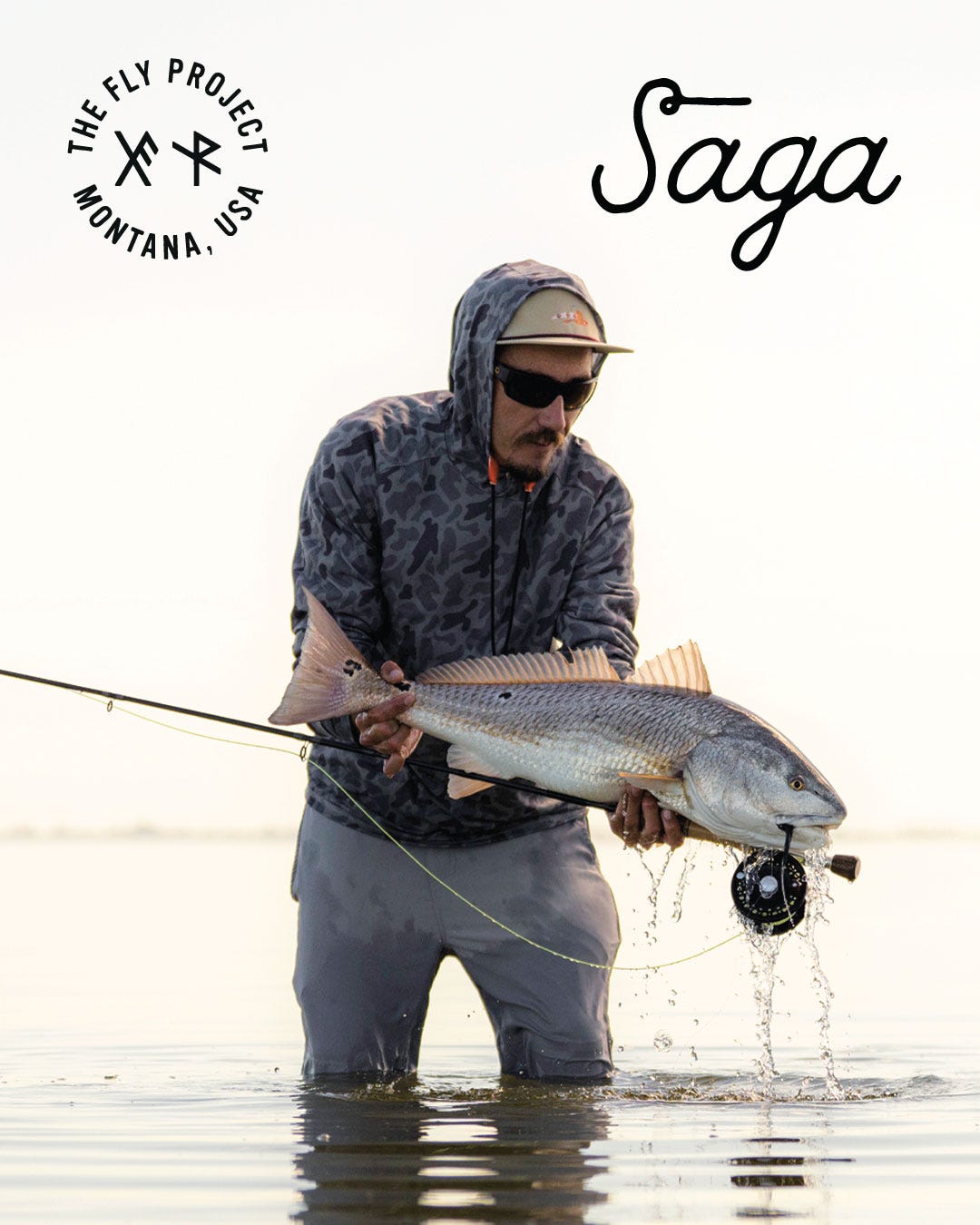 The New Fly Project Saga