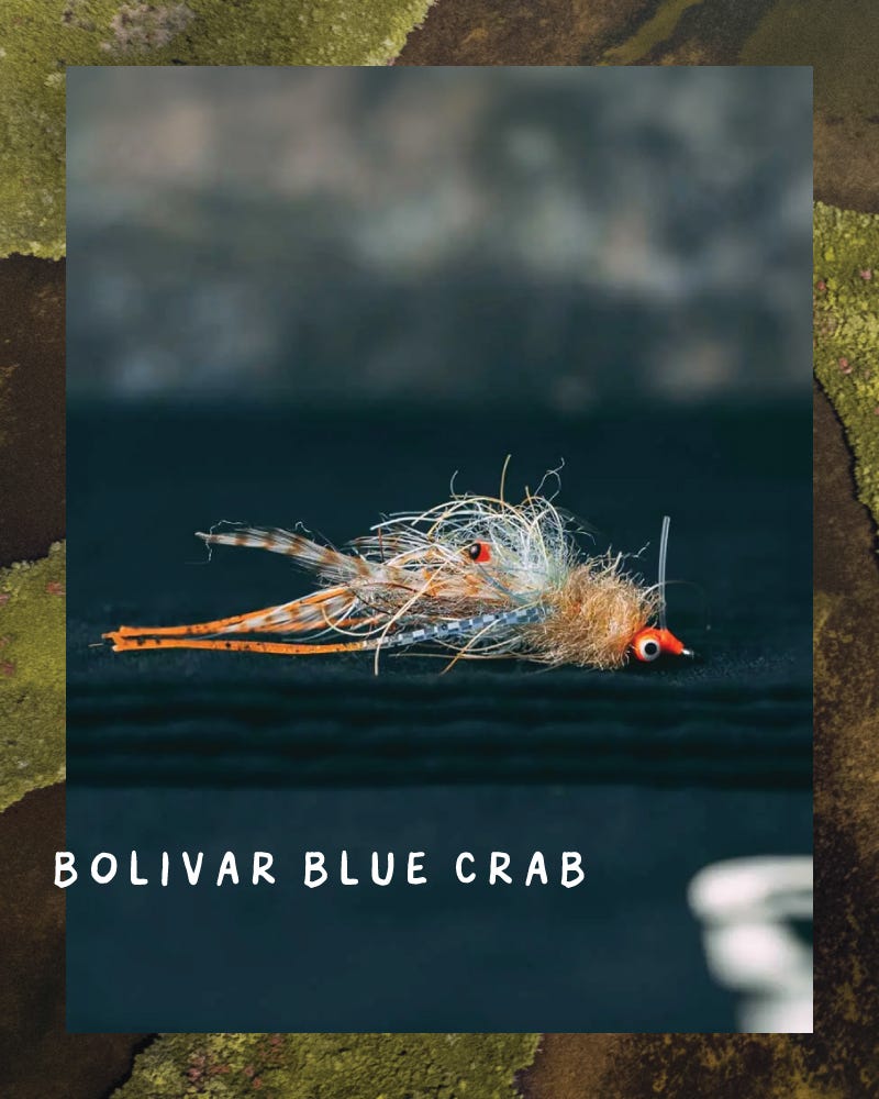 Sight Cast Bolivar Blue Crab