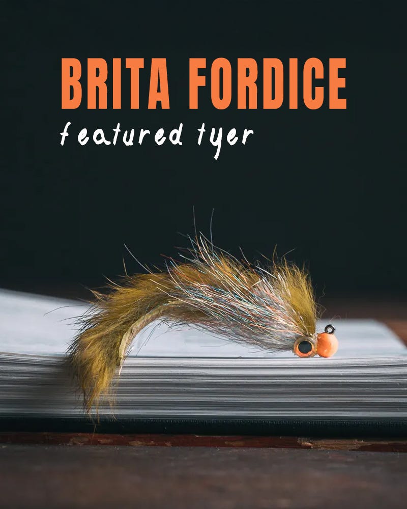 Brita Fordice