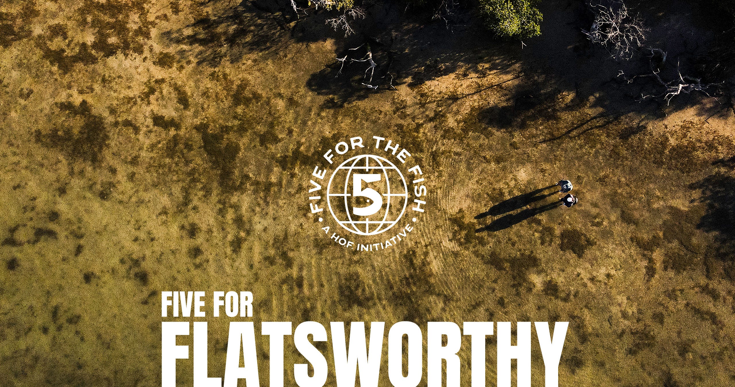 Five for the Fish - A House of Fly Initiative - Five for Flatsworthy