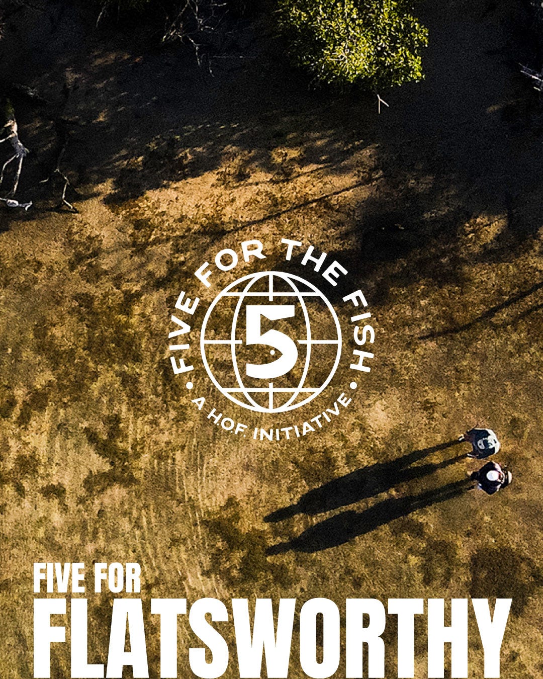 Five for the Fish - A House of Fly Initiative - Five for Flatsworthy