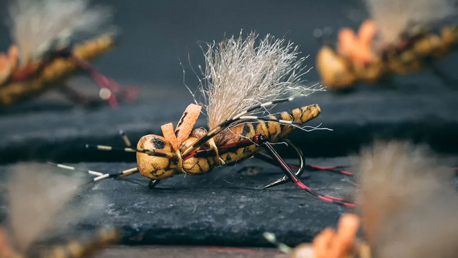 The Best Tailwater Hopper Fly-Fishing Patterns of 2026
