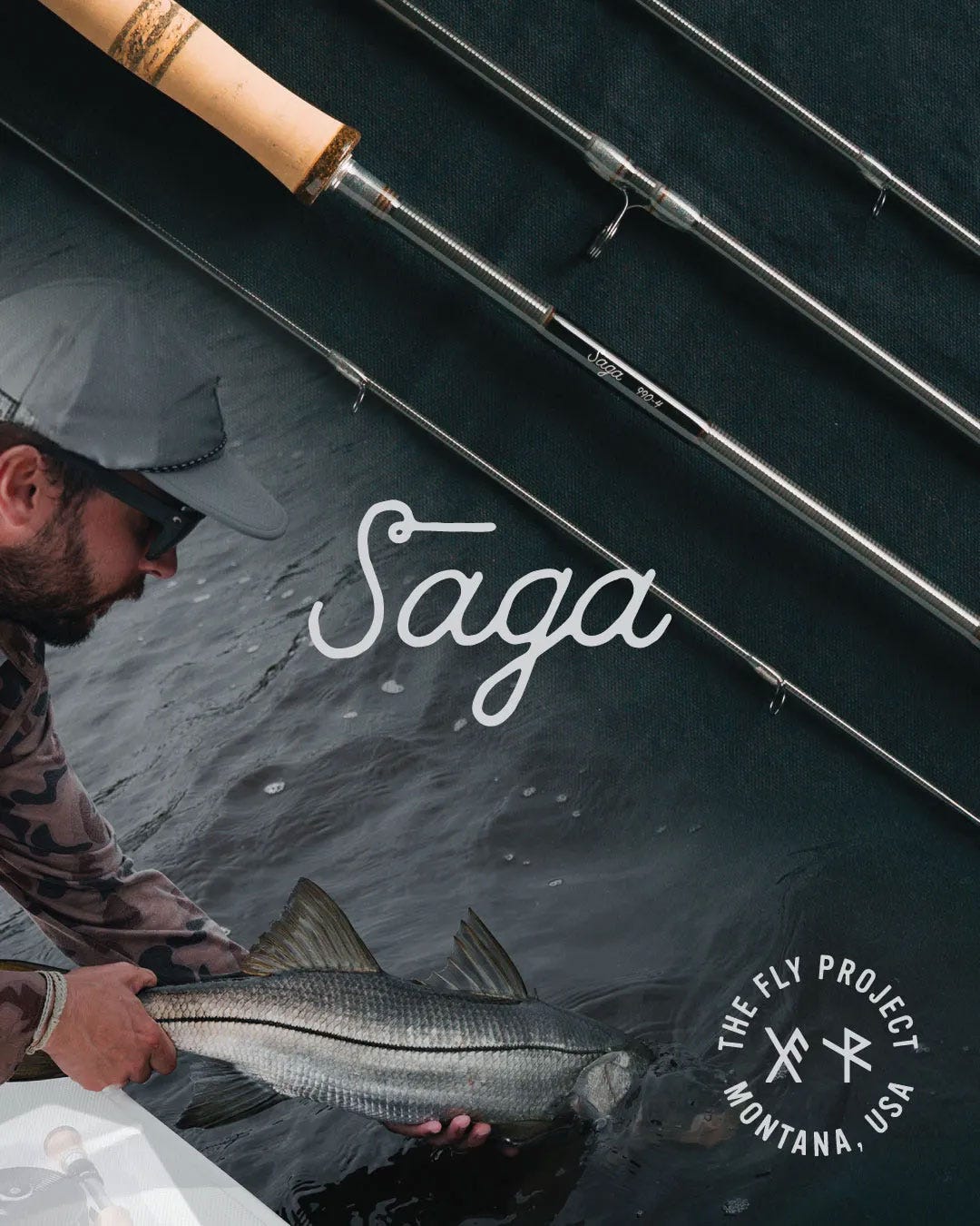 The New Fly Project Saga