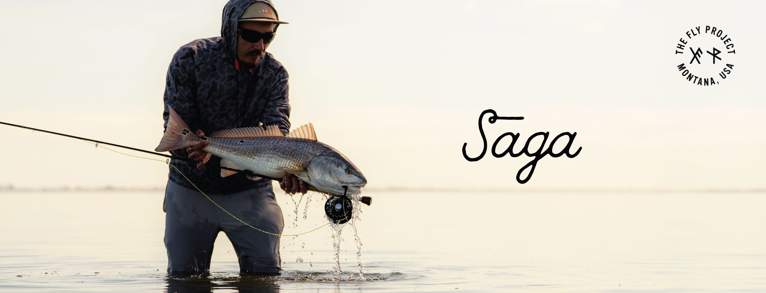 The New Fly Project Saga