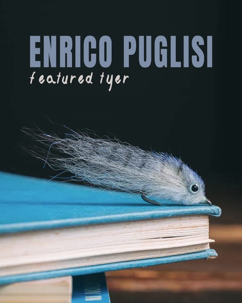 Enrico Puglisi