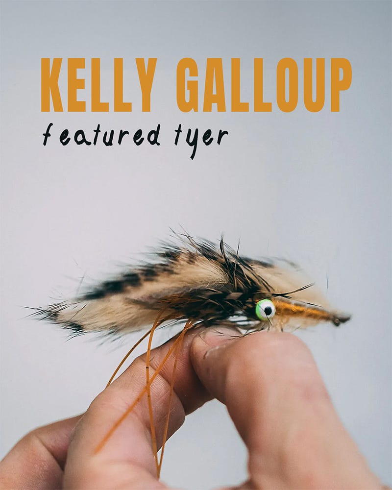 Kelly Galloup